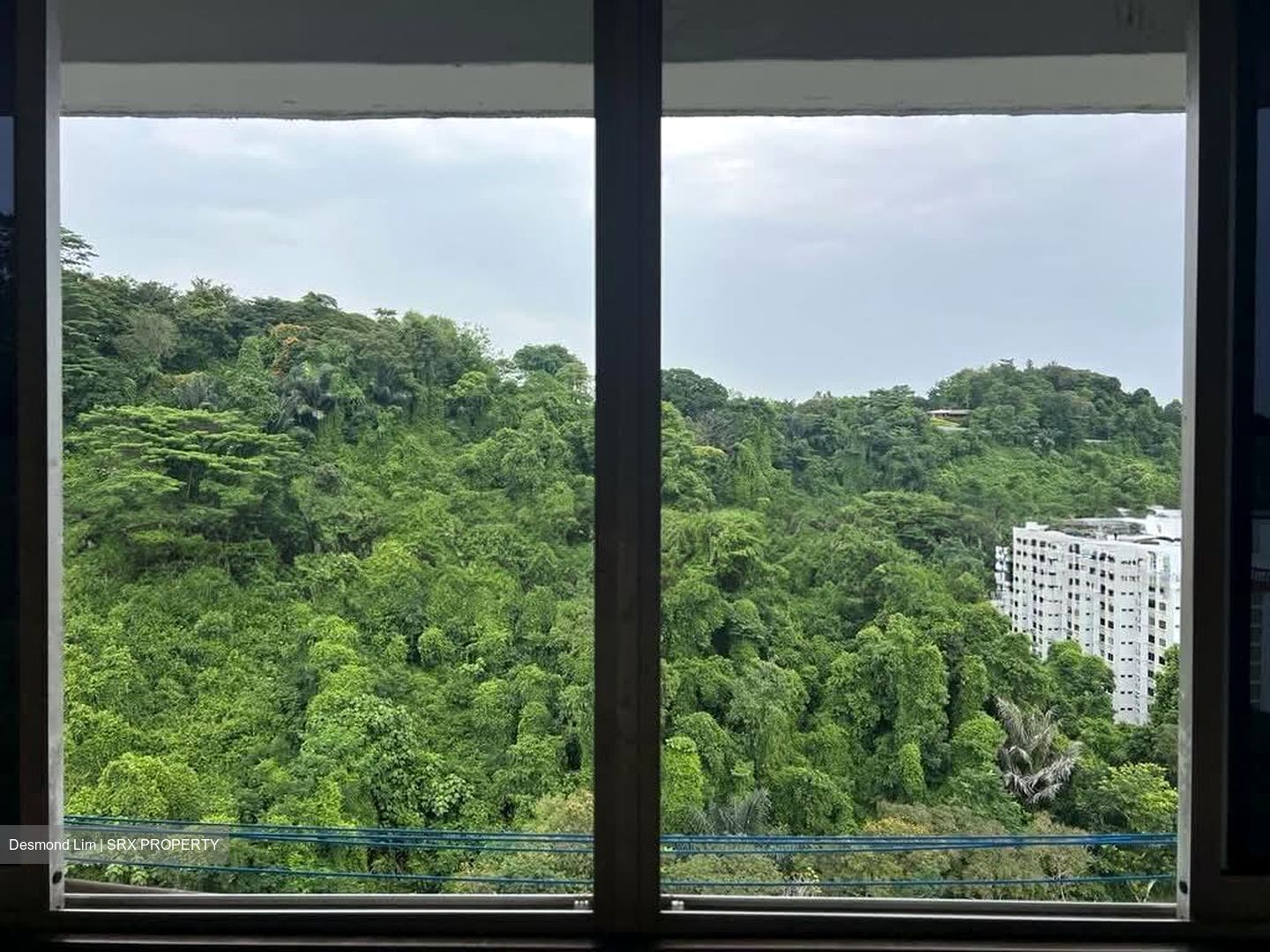 Blk 39 Telok Blangah Rise (Bukit Merah), HDB 5 Rooms #593944331